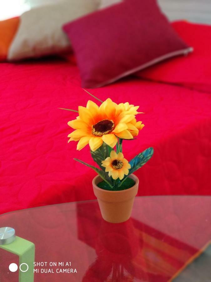 Bed and Breakfast Sole Di Castellammare Castellammare del Golfo Exterior foto